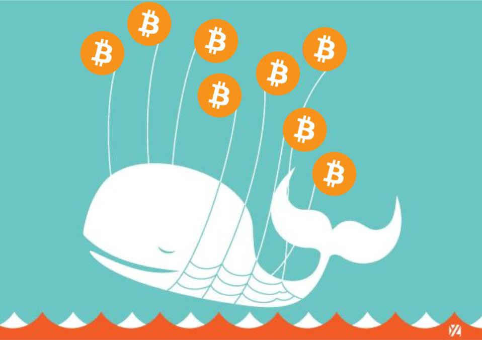 balenele bitcoin știri crypto bitcoin bálnák crypto hiriek mycryoption