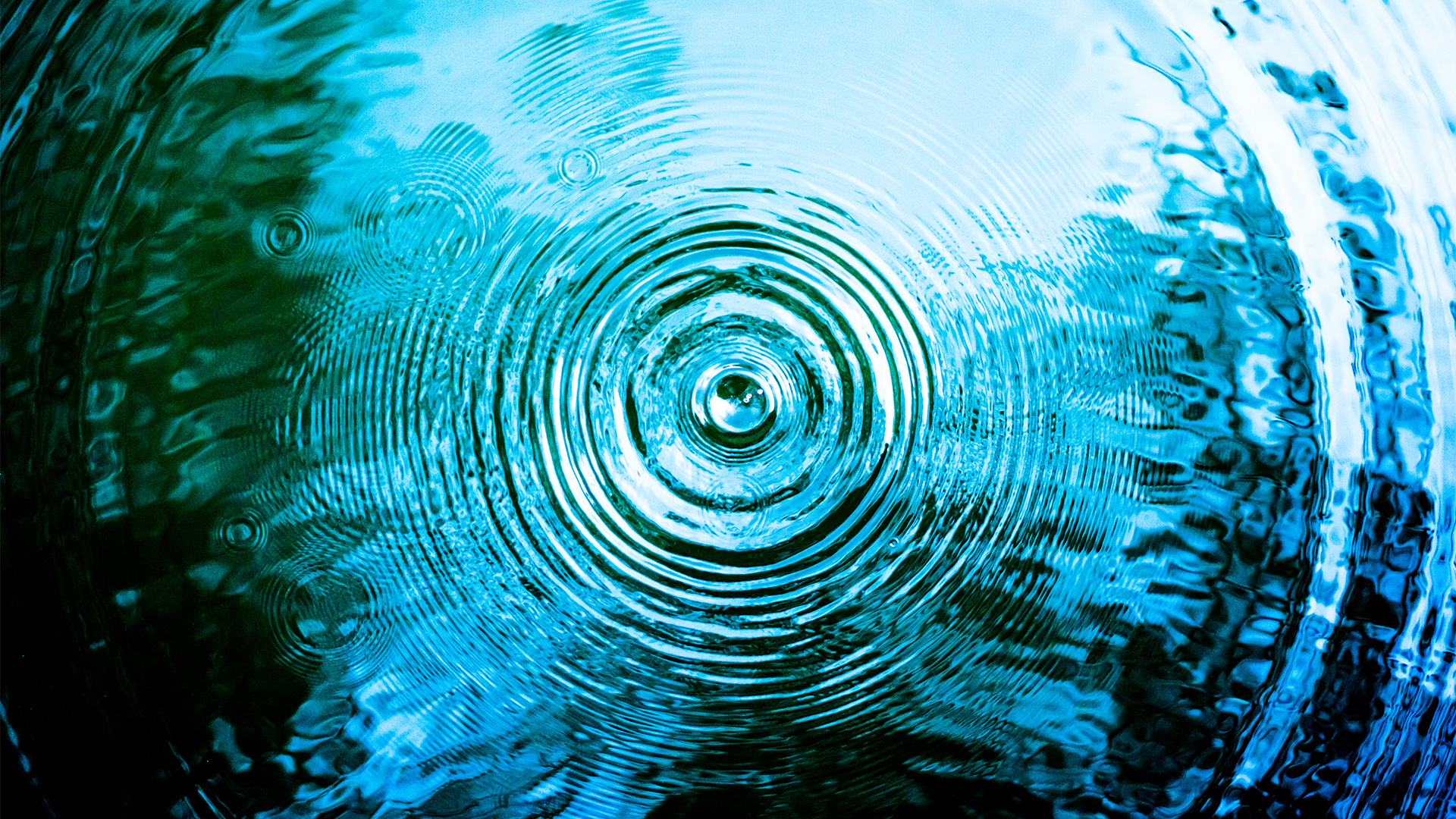 compania ripple știri crypto a ripple bitcoin ethereum blokklánc krypto hírek mycryptoption