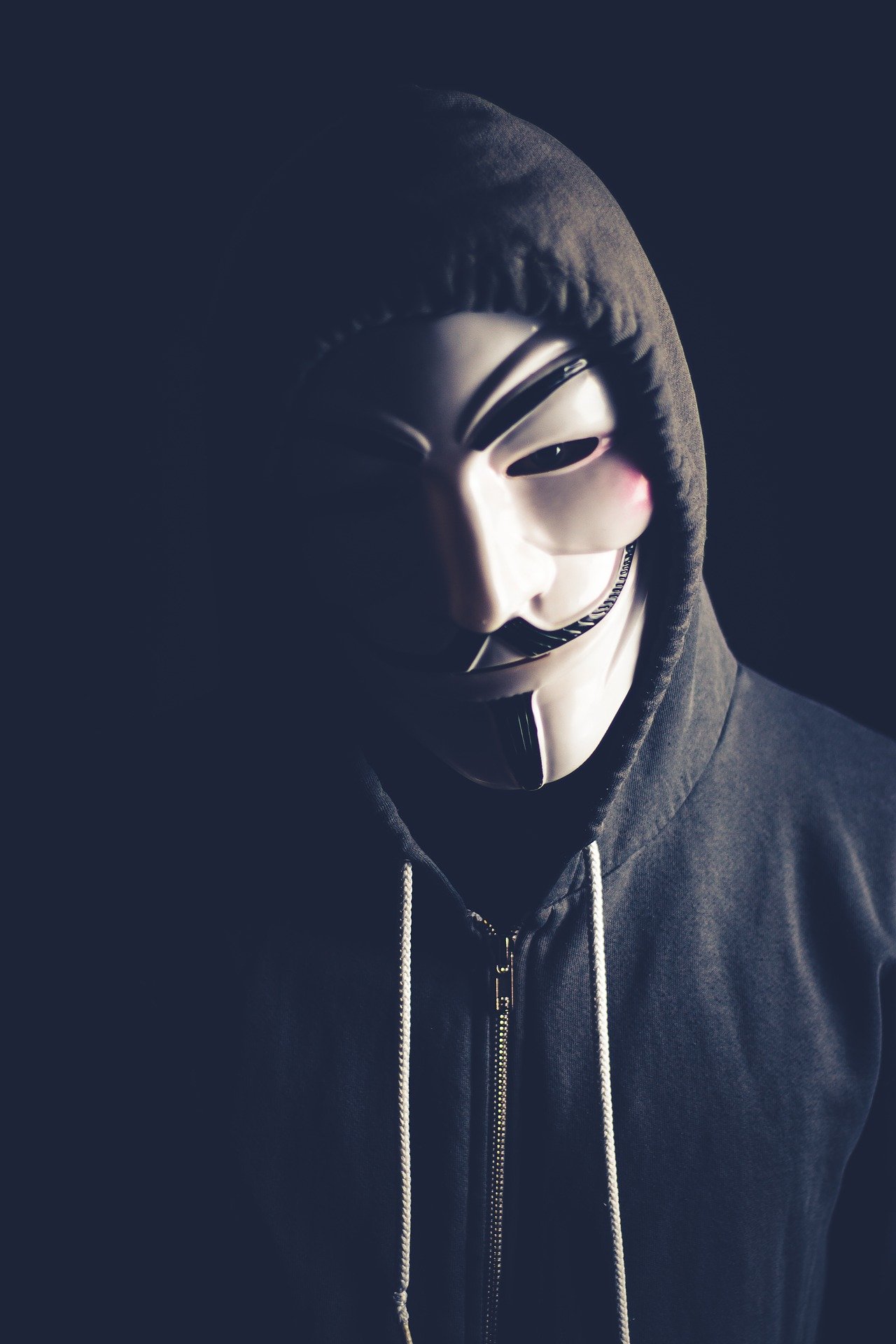 darknet webwn millio bitcoin altcoin ethereum hírek mycryptoption