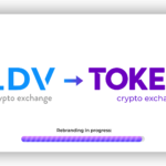 ldv devine tokero