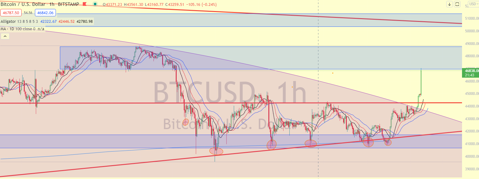 http://5percbitcoin.hu/hirek/8-kal-inditja-az-oktobert-a-bitcoin-50-000-dollarhoz-kozelit-az-arfolyam/