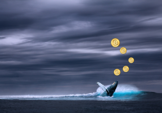 Urmărirea balenelor Bitcoin: Cum pot fi urmărite balenele Bitcoin? Bitcoin bálnák nyomon követése Hogyan lehet nyomon követni a Bitcoin bálnákat mycryptoption