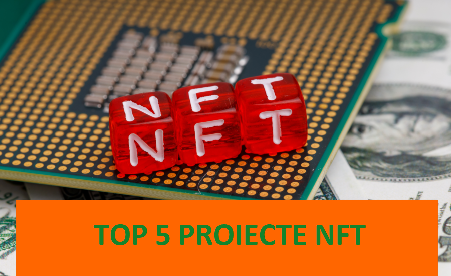 Top 5 proiecte NFT din 2022 | Cele mai bune 5 proiecte NFT pe care trebuie să le cunoști mycryptoption